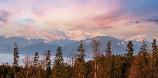 乌克兰喀尔巴阡山高原的早春风景 雪盖山脊 — 图库照片