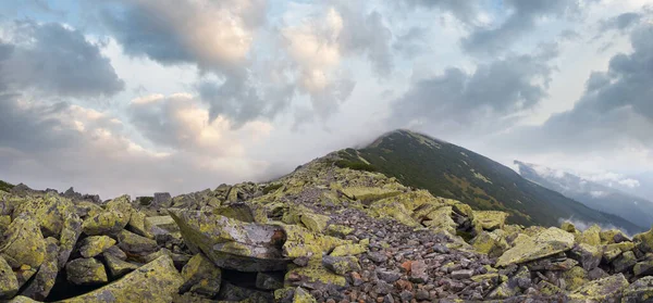 Kamienie Chmury Rejonie Gorganów Karpat Ukraina — Zdjęcie stockowe