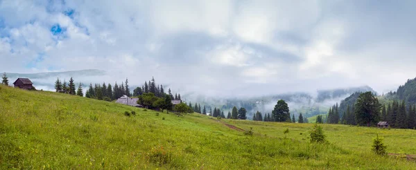 Hustá Mlha Nad Letními Horami Karpat Ukrajina — Stock fotografie