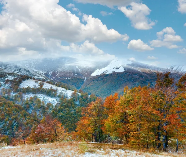October Carpathian Mountain Plateau First Winter Snow Autumn Colorful Foliage — Stock Photo, Image