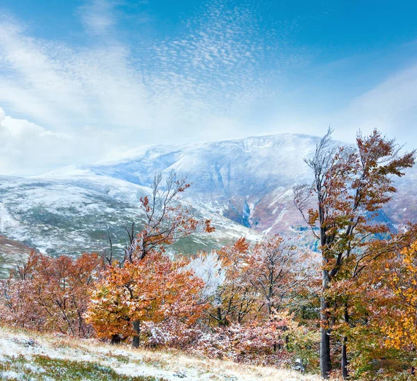 Octubre Cárpatos Montaña Meseta Borghava Con Primera Nieve Invierno Follaje —  Fotos de Stock