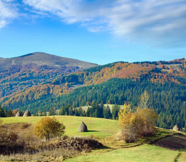 Осенний Горный Пейзаж Стогами Сена Склоне Карпаты Украина — стоковое фото