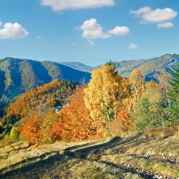 Herbst Berg Nimtschich Pass Karpaten Ukraine Und Landstraße Auf Hügel — Stockfoto