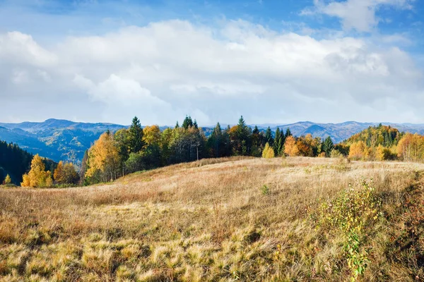Sonbahar Dağ Nimchich Tepede Panorama Karpat Ukrayna Köy Yolunda Renkli — Stok fotoğraf