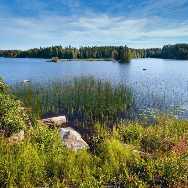 Letní Pohled Jezero Lesem Okraji Finsko — Stock fotografie