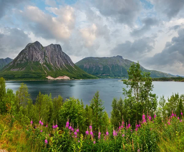 Fjord Zomer Troebel Zicht Met Bloeiende Wild Roze Bloemen Vooraan — Stockfoto