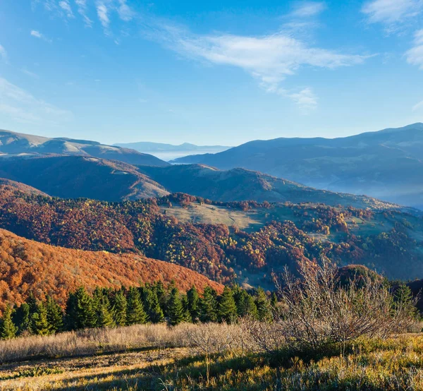 Ochtend Mist Herfst Karpaten Top Daybreak Berglandschap Met Kleurrijke Bomen — Stockfoto