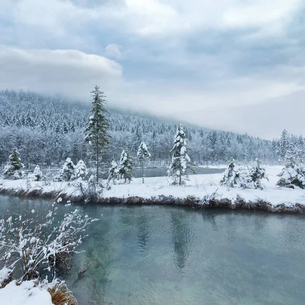 Small Winter Stream Snowy Trees Bank — Stock Photo, Image