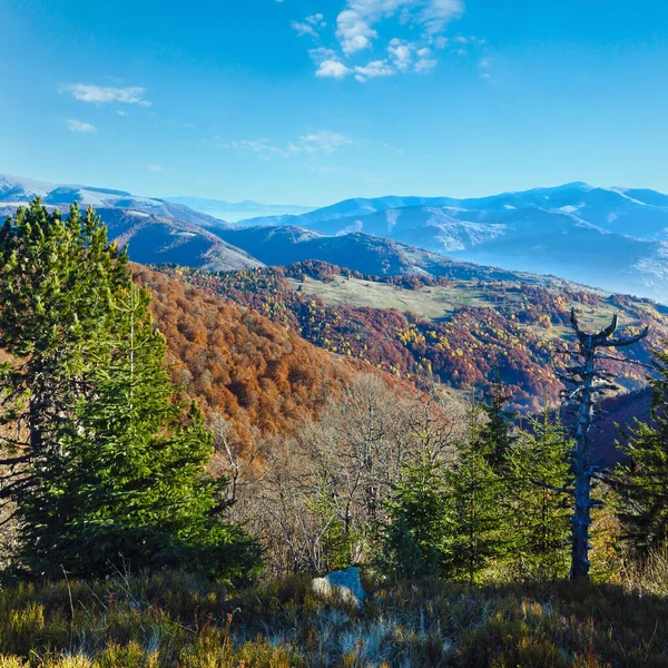 Ochtend Mist Herfst Karpaten Kleurrijke Bomen Helling — Stockfoto