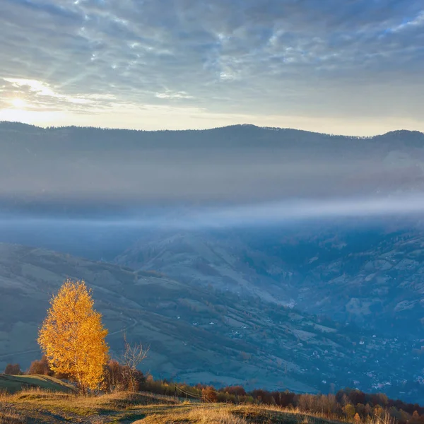 霧の秋山の斜面にある村の美しいゴールデン樺の木 — ストック写真