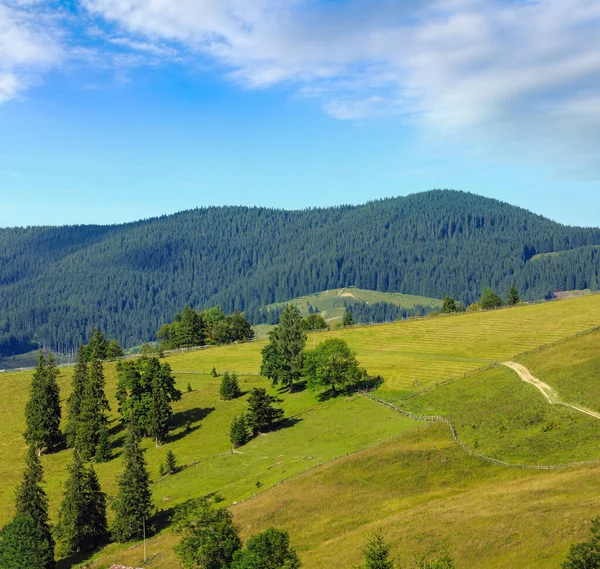 Paysage Estival Montagne Avec Route Rurale Carpates Ukraine — Photo