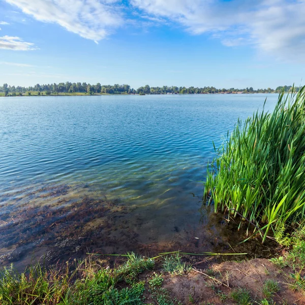 Picturesque Summer Lake Calm Rushy Shore Concept Tranquil Country Life — Stock Photo, Image