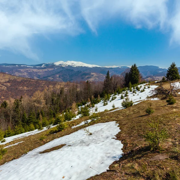 Primavera Temprana Montañas Los Cárpatos Paisaje Meseta Con Cumbres Cubiertas — Foto de Stock