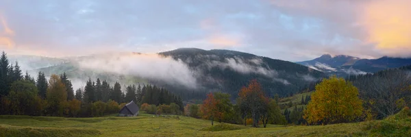 Misty Madrugada Otoño Montaña Los Cárpatos Ucrania — Foto de Stock