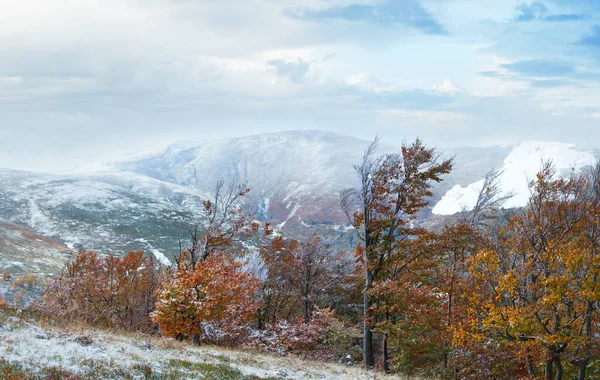 October Carpathian Mountain Borghava Plateau Panorama First Winter Snow Autumn — 스톡 사진