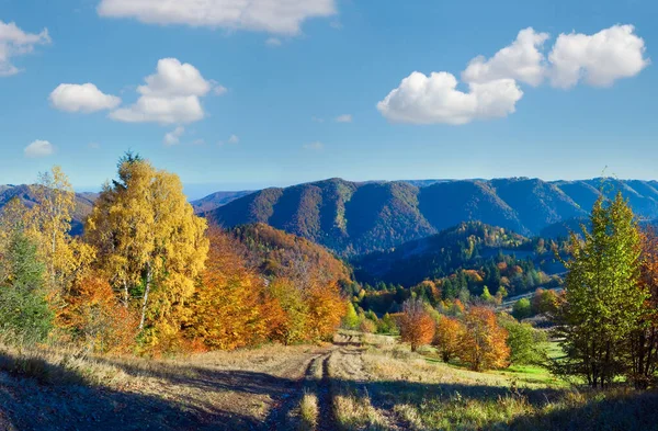 Soleado Panorama Montaña Otoñal Con Árboles Coloridos Carretera Rural Ladera —  Fotos de Stock