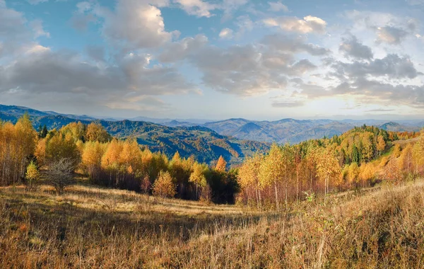 Güneşli Sonbahar Dağ Ormanları Dağ Yamacında Karpatlar Ukrayna — Stok fotoğraf