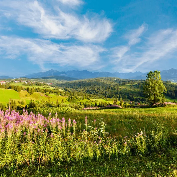 夏季山村郊区 前面有粉红色的花 后面有鞑靼山脉 波兰格里萨罗戈尔尼 — 图库照片