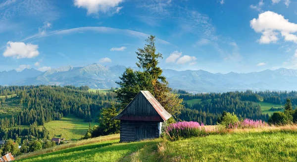 Estate Villaggio Montagna Periferia Con Fiori Rosa Capannone Legno Fronte — Foto Stock