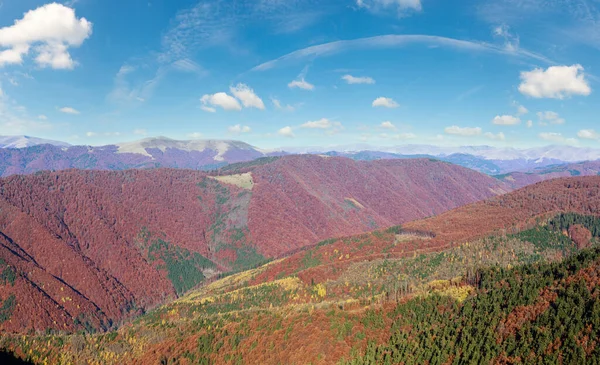 Pistes Montagne Colorées Automne Des Carpates Panorama Brumeux Matin — Photo