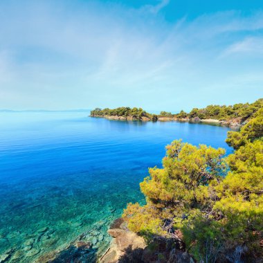 Sabah yaz Ege kıyı ve küçük plajlar, çam ağaçları ile Sithonia (yakın Ag. Kiriaki), Halkidikya, Yunanistan.