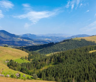 Dağ köyü. Yaz ülke yatay, köknar orman yamaç (Karpat, Ukrayna, Verkhovyna bölgesi, Ivano-Frankivsk bölge).