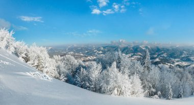 Dağ panorama manzara güzel süs ağaçları ve snowdrifts aracılığıyla Patika yolda dağ yamacı (Karpat Dağları, Ukrayna ile sabah kış sakin)