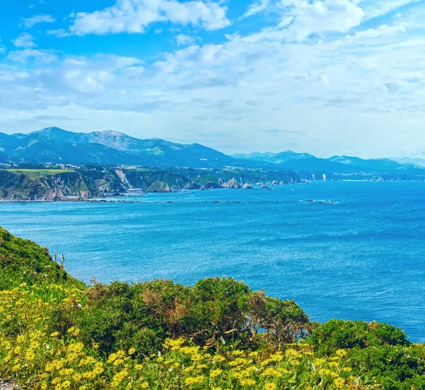 Letní Krajina Pobřeží Cape Vidio Žlutými Květy Vpředu Asturias Cudillero — Stock fotografie