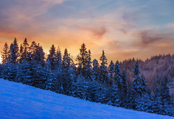 Вечірнє Небо Жовтою Хмари Над Зима Українських Карпат — стокове фото