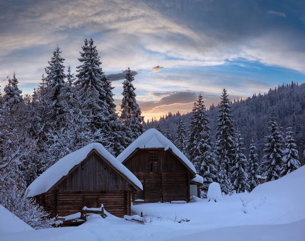 木製の小屋は 夕方にはウクライナ カルパティア山脈冬斜面の後ろにモミの森 — ストック写真