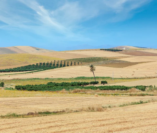 Mooie Landschap Van Sicilië Zomer Platteland Italië — Stockfoto