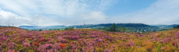 Letní Ranní Krajina Podhůří Panorama Vřesovými Květy Dřevěným Křížem Karpaty — Stock fotografie