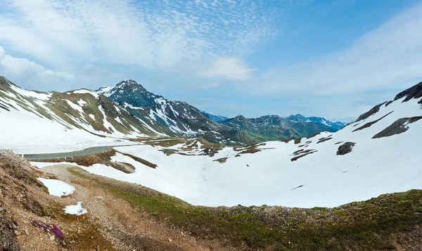 Verano Junio Alpes Montaña Sinuoso Camino Vista Desde Grossglockner High — Foto de Stock