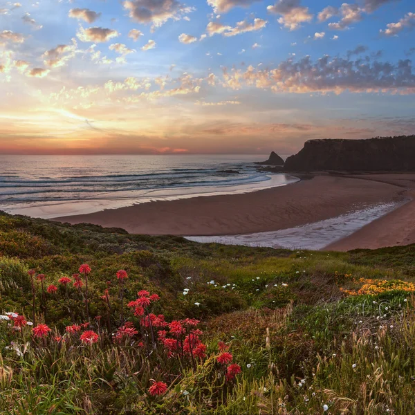 Rosafarbene Meereslandschaft Bei Sonnenuntergang Mit Blühenden Wildblumen Strand Von Odeceixe — Stockfoto