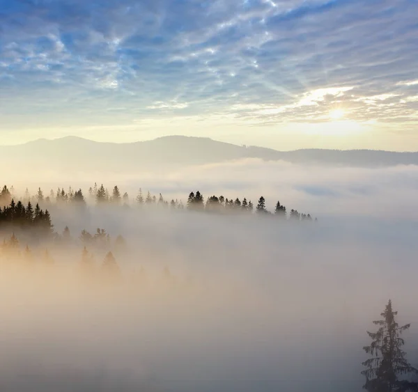Morning Fog Slopes Carpathian Mountains Ivano Frankivsk Oblast Ukraine View — Stock Photo, Image