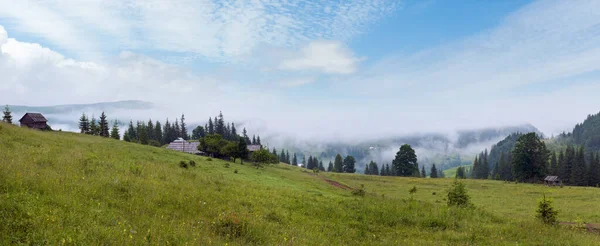 Nevoeiro Denso Sobre Montanhas Verão Cárpatos Ucrânia — Fotografia de Stock