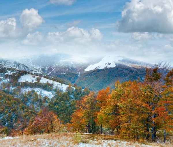 最初冬の雪と秋の色鮮やかな紅葉の 月カルパティア山高原 — ストック写真