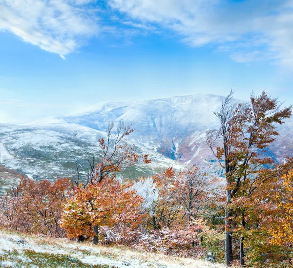 October Carpathian Mountain Borghava Plateau First Winter Snow Autumn Colorful — Stock Photo, Image