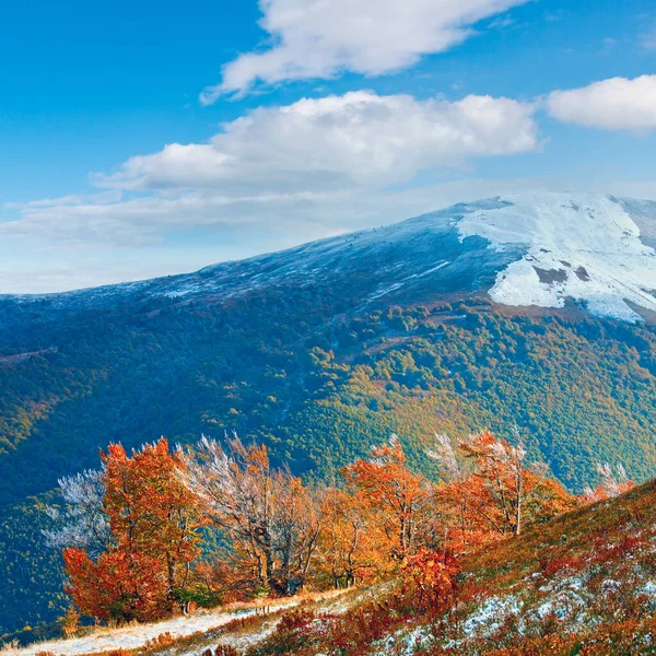 月喀尔巴阡山 Borghava 高原与第一次冬季雪和秋季色彩缤纷树叶 — 图库照片