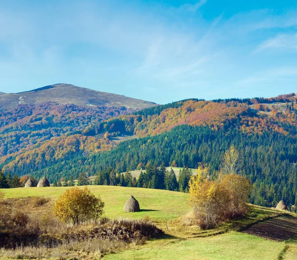 干し草の山斜面 カルパチア ウクライナと秋の山国の風景 — ストック写真