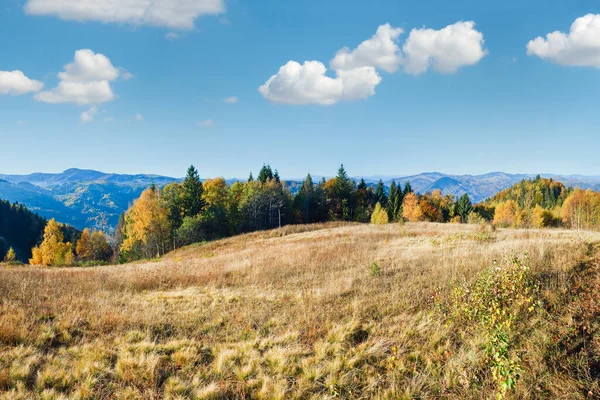 Herfst Berg Nimchich Doorgeven Heuvel Panorama Karpaten Oekraïne Met Landweg — Stockfoto