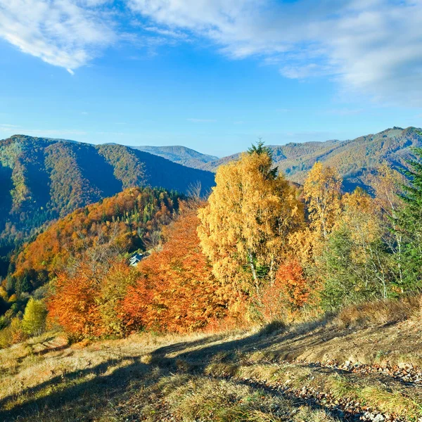 Höstens Nimchich Bergspass Karpaterna Ukraina Och Landsväg Kulle — Stockfoto