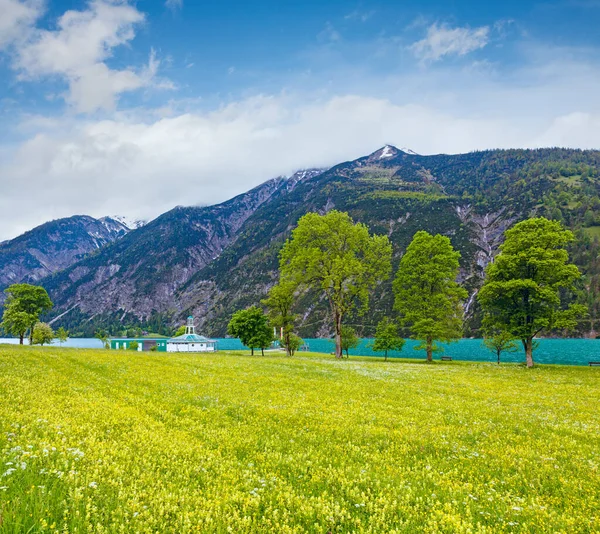 Летний Пейзаж Ахензе Цветущим Желтым Лугом Облачным Небом Австрия — стоковое фото