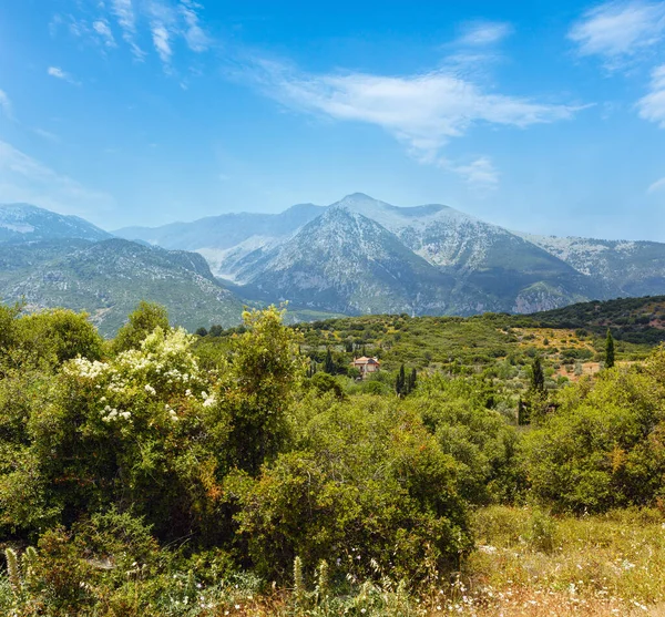 Lato Górskiej Parnassus Montażu Grecja — Zdjęcie stockowe