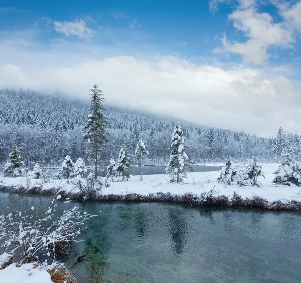 Pequeno Fluxo Inverno Com Árvores Nevadas Banco — Fotografia de Stock