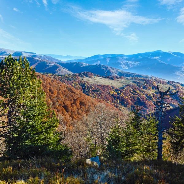 Ranní Mlha Podzim Karpatské Barevné Stromy Svahu — Stock fotografie