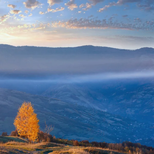 Piękny Złoty Brzozy Mgliste Góry Jesień Wieś Stoku — Zdjęcie stockowe
