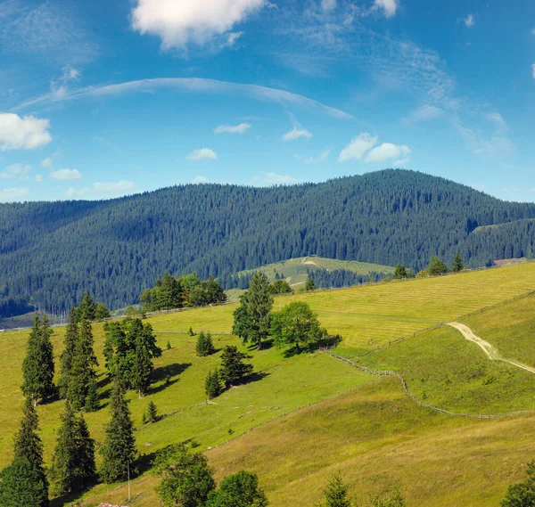 Summer Mountain Country Landscape Rural Road Carpathian Ukraine — Stock Photo, Image