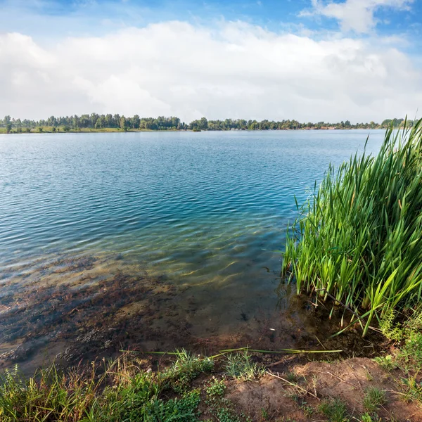 Pintoresco Lago Verano Calma Costa Apresurada Concepto Vida Rural Tranquila — Foto de Stock