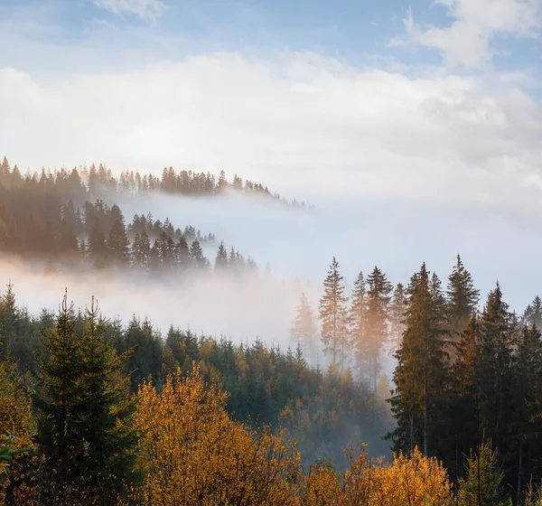 Nevoeiro Matutino Nas Encostas Das Montanhas Cárpatas Ivano Frankivsk Oblast — Fotografia de Stock